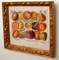 Gold-Framed Fruits