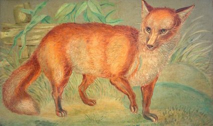 Rosemary Fox Designs - Illustrator and Decorative Painting